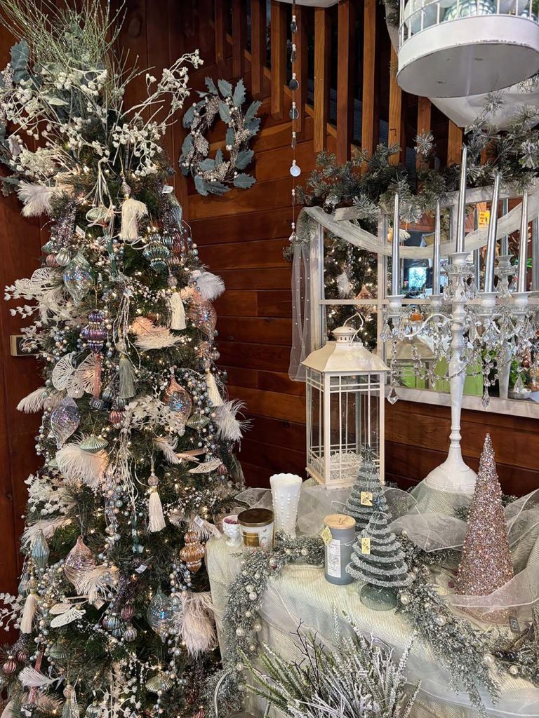 Christmas Trees Displayed at Open House